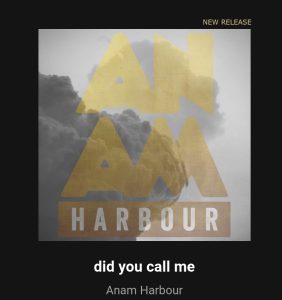 Did You Call. ANAM Harbour.
